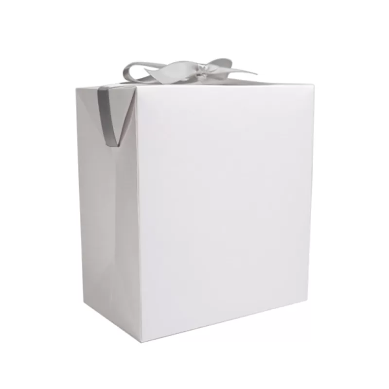 Gift Wrap Paper Bag